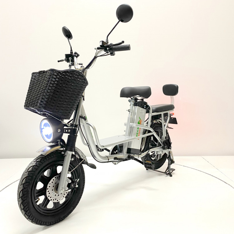 Электровелосипед GreenCamel Транк Монстр (R16FAT 500W 48V15Ah) гидравлика