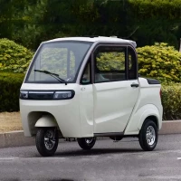 Трицикл GreenCamel Шторм Пикап  2.0 (60V 2000W) кабина, кузов, понижающая