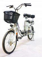 Электровелосипед GreenCamel Транк-2 (R20 350W 48V) Алюм 2-х подвес