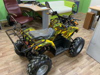 Квадроцикл GreenCamel Atakama T100 (48V 800W R8 Цепной привод)