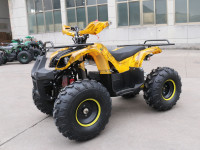 Квадроцикл GreenCamel Atakama T200 (48V 800W R8 Дифференциал)