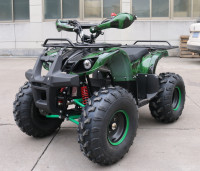 Квадроцикл GreenCamel Atakama T200 (48V 800W R8 Дифференциал)