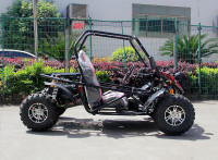 Багги GreenCamel Намиб A5000 (3999W R10) Дифф