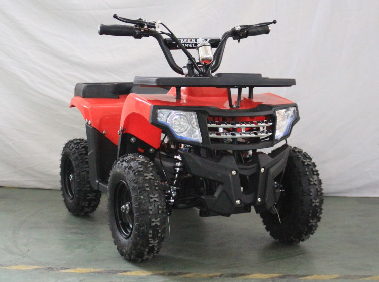 Квадроцикл GreenCamel Гоби K24 (36V 800W R6 Цепь)