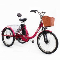 Электровелосипед GreenCamel Трайк-B (царапины при транспортировке)