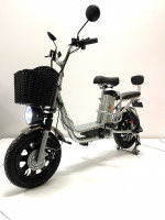 Электровелосипед GreenCamel Транк Монстр PRO (R16FAT 48V 500W) гидравлика, 2х подвес