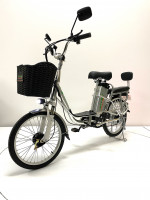 Электровелосипед GreenCamel Транк 20 V8 (R20 250W) алюм, редуктор