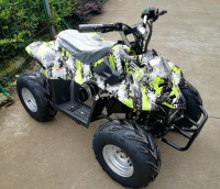 Квадроцикл GreenCamel Гоби K50 (36V 800W R7 Цепь)