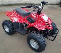 Квадроцикл GreenCamel Гоби K50 (36V 800W R7 Цепь)