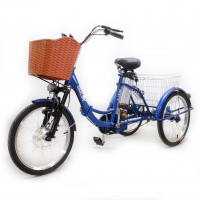 Электровелосипед GreenCamel Трайк-20 (R20 500W 48V10Ah) Уценка