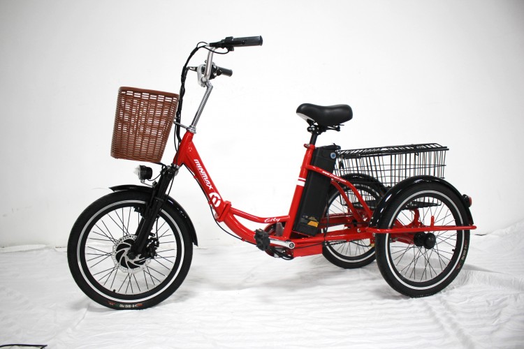 Электровелосипед GreenCamel Трайк-20 (R20 500W 48V10Ah) складной