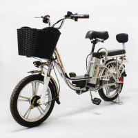 Электровелосипед GreenCamel Транк-18 V2 (R18 250W) алюмин, гидравлика