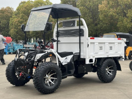 Квадроцикл грузовой GreenCamel Сахара A8000 (72V 4000W R12)